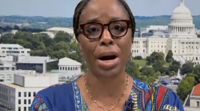 Democrat and Ranking Member of the House Weaponization Subcommittee Slips Up, Says the Quiet Part Out Loud, "Trump Needs to Be 'Shot' ...Stopped" (VIDEO) | The Gateway Pundit | by Anthony Scott | 163