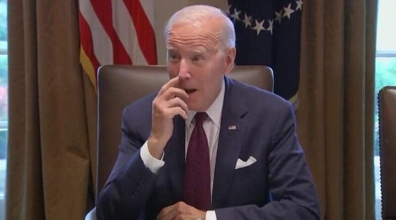 Biden Could Lose First Two Primary Contests of 2024, in Total Embarrassment for DNC | The Gateway Pundit | by Mike LaChance | 38