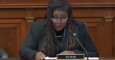 Marxist Democrat Cori Bush Calls President Trump the "White Supremacist-in-Chief" - And It's Not the First Time She Hurled the Racist Slur at a Politician! | The Gateway Pundit | by Jim Hoft | 2