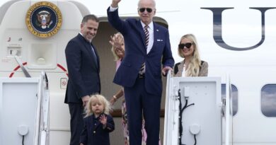 BREAKING: Hunter Biden Has Agreed to Plead Guilty to Multiple Criminal Charges - Update: Two Misdemeanors and One Gun Charge - A Slap on the Wrist | The Gateway Pundit | by Jim Hoft | 2