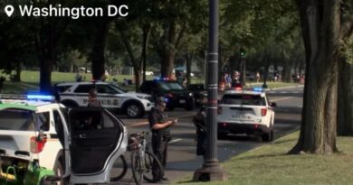 JUST IN: Driver Kills Pedestrian After Fleeing Secret Service Near National Mall in DC - Suspect at Large | The Gateway Pundit | by Cristina Laila | 42