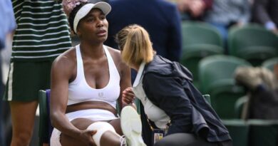 Venus Williams Wimbledon