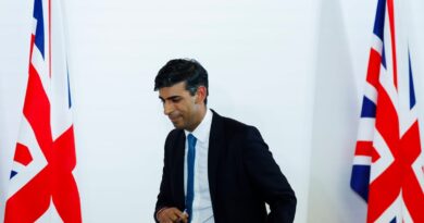 Meet the New Conservatives giving Rishi Sunak a migration headache