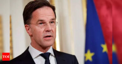 Dutch government collapses over immigration policy - Times of India