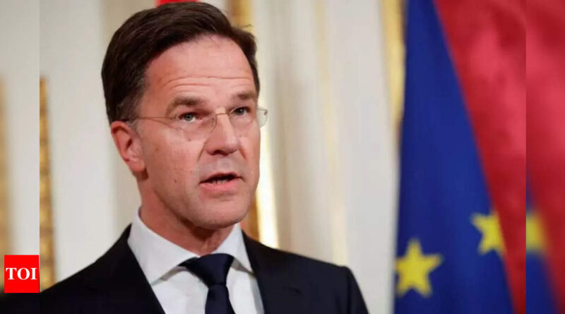 Dutch government collapses over immigration policy - Times of India