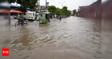 At least 76 died, 133 injured due to heavy rains in Pakistan - Times of India