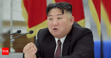 North Korea: North Korea threatens to shoot down US spy planes - Times of India