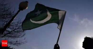 Pakistan gets $1 billion boost from UAE ahead of key IMF decision - Times of India