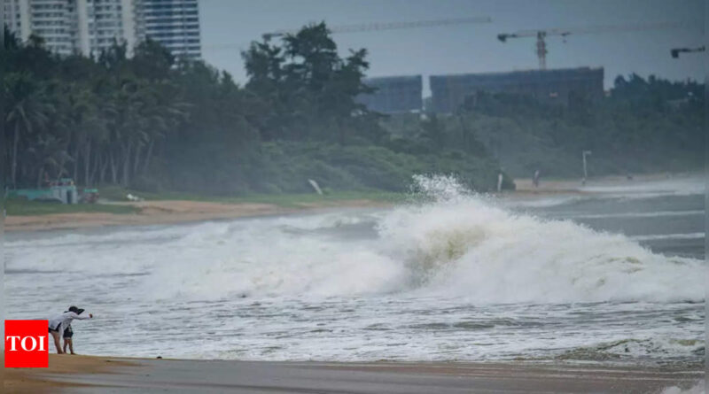 Typhoon Talim leaves behind crushed vehicles, beached whale in southern China - Times of India