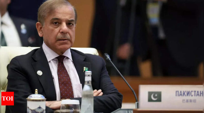 Pakistan gets another $600 million loan from China: PM Shehbaz Sharif - Times of India