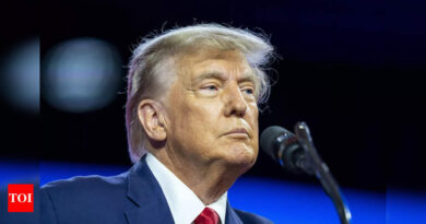 Trump: Trump says he is a target in US 2020 election probe - Times of India