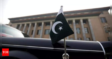 Pakistan IMF: Pakistan facing 'exceptionally high' risks, needs another IMF programme, says global lender | World News - Times of India