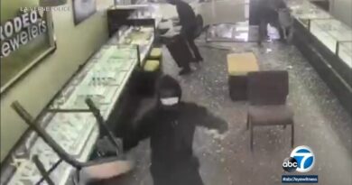 SMASH AND GRAB: Thieves Crash Car into California Jewelry Store in Broad Daylight, Viciously Assault Owner, and Dash off with HUNDREDS OF THOUSANDS of Dollars Worth of Merchandise (VIDEO) | The Gateway Pundit | by Cullen Linebarger | 165