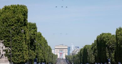 France bans fireworks on concerns about Bastille Day violence