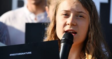 Greta Thunberg fined for disobeying police during climate protest in Sweden