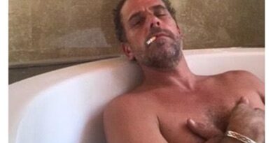 SUCH BS! Fake News Falsely Accuses Arizona Senator Wendy Rogers of Violating Arizona's Revenge Porn Laws after Retweeting Censored Hunter Biden Photos - RINO State Rep. Declares Primary Challenge | The Gateway Pundit | by Jordan Conradson | 126