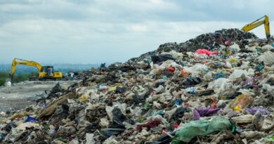 Act now: Amendments to packaging rules will cause ‘flood of plastic’ pollution