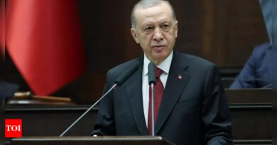 Erdogan says Hamas is not a terrorist outfit, cancels Israel trip - Times of India