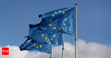 EU broadly supports more cash for Ukraine, needs time to work out details - Times of India