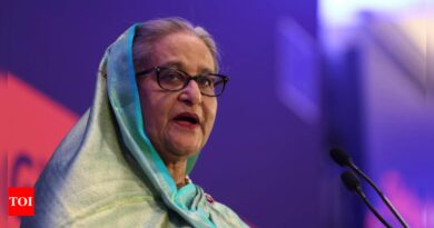 Bangladesh's main opposition party plans mass rally as tensions run high ahead of general election - Times of India