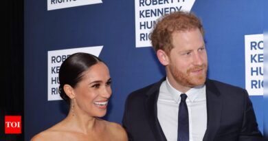 Money matters creating wedge between Harry, Meghan - Times of India