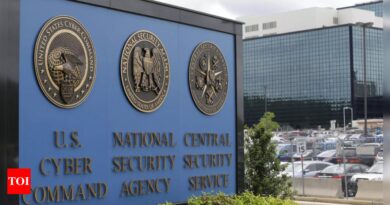 Ex-British intelligence worker jailed for attempted murder of US NSA employee - Times of India