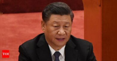 Xi says China's women must start 'new trend of family' - Times of India