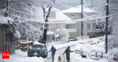 Two US cities witness biggest Halloween snowfall in over three decades - Times of India