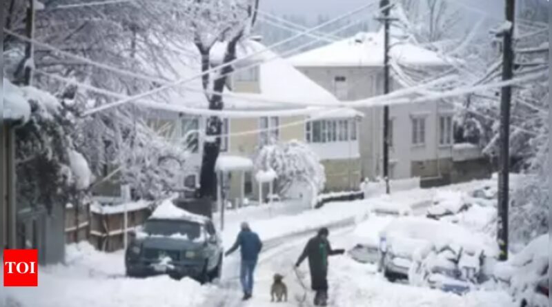 Two US cities witness biggest Halloween snowfall in over three decades - Times of India