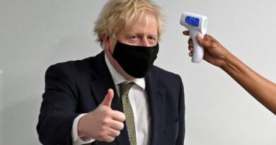 Cabinet of ‘fuckpigs’ and a team with ‘no plan’: 9 Boris bombshells from the UK’s COVID inquiry