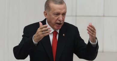 Mediator no more: Erdoğan takes aim at Israel, backing Hamas ‘freedom’ fighters