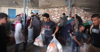 Gaza residents raid food warehouses as ‘civil order’ disintegrates, UN says