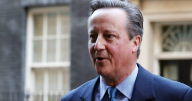 David Cameron hails old foe Boris Johnson during first visit to Ukraine