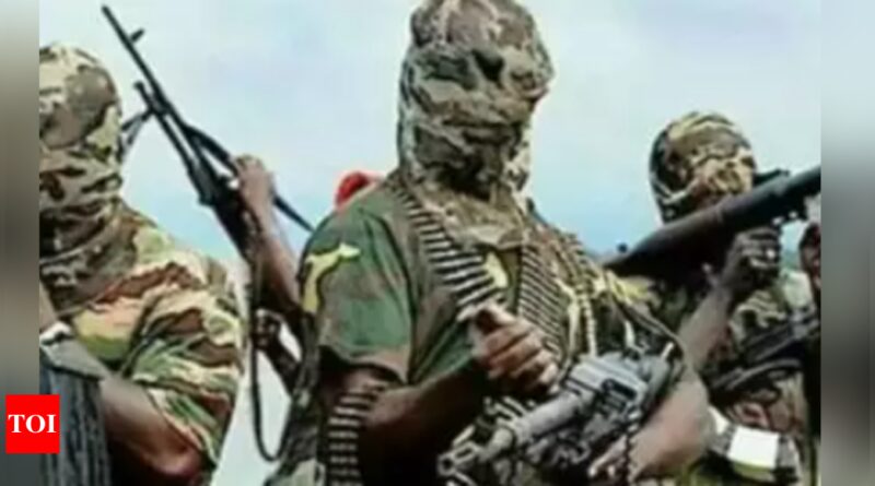 Extremists kill 37 villagers in latest attack in Nigeria's hard-hit northeast - Times of India