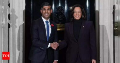 Harris and Sunak due to discuss cutting-edge AI risks at UK summit - Times of India