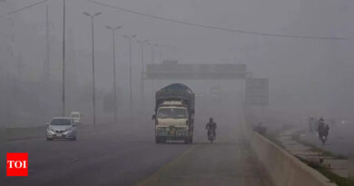 Thousands fall ill in eastern Pakistan due to heavy smog, forcing closure of schools, markets, parks - Times of India