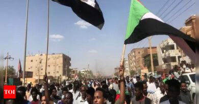 Ethnic groups targeted by Sudan's RSF in Ardamata - Times of India