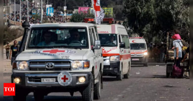 Gaza health system has reached 'point of no return': Red Cross - Times of India