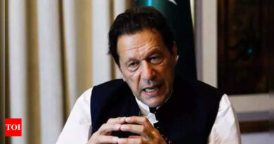 Over 100 more workers of Imran Khan's party arrested in connection with May 9 violence - Times of India