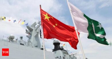 China and Pakistan navies hold drills in Arabian Sea; to conduct first maritime patrols - Times of India