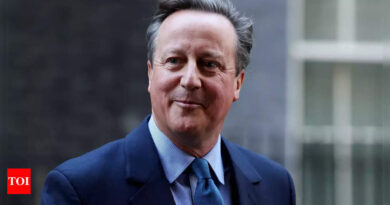 Cameron return aims to help win over moderates - Times of India