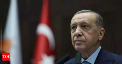 Turkey's Erdogan labels Israel a 'terror state', slams its backers in West - Times of India