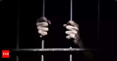 Nigeria frees 4,000 prisoners to ease jail crowding - Times of India