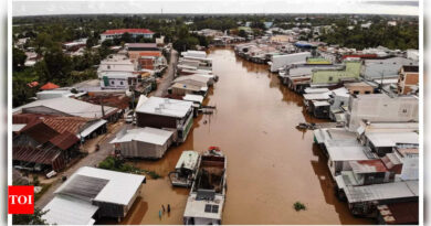 Sand mining in Vietnam's Mekong Delta sinks homes, livelihoods - Times of India