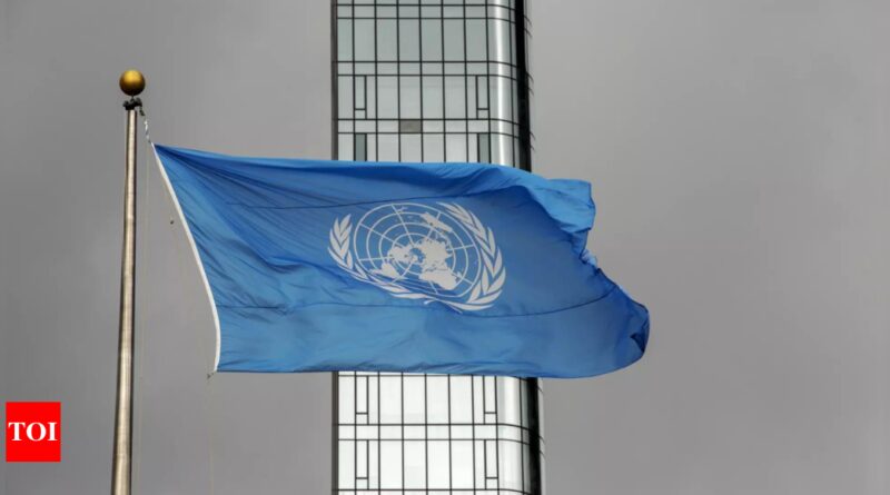 Democratic Republic of Congo and UN sign peacekeeper withdrawal plan - Times of India