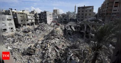 Palestinians in Gaza use truce to pick through rubble of homes - Times of India