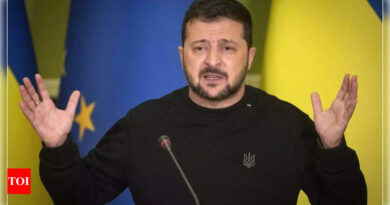 Ukraine needs more air defences to protect grain exports: Zelenskyy - Times of India