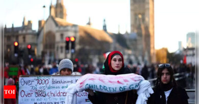 Tens of thousands join pro-Palestinian march in central London - Times of India