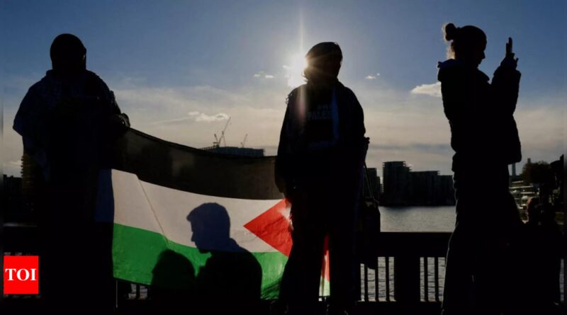 Thousands expected to take part in pro-Palestinian rally in London - Times of India