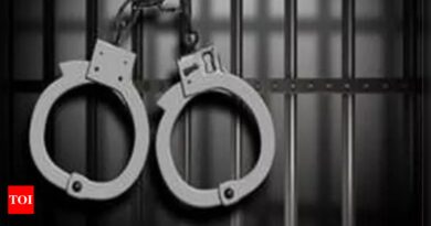 Six remanded in custody over killing of French teenager - Times of India